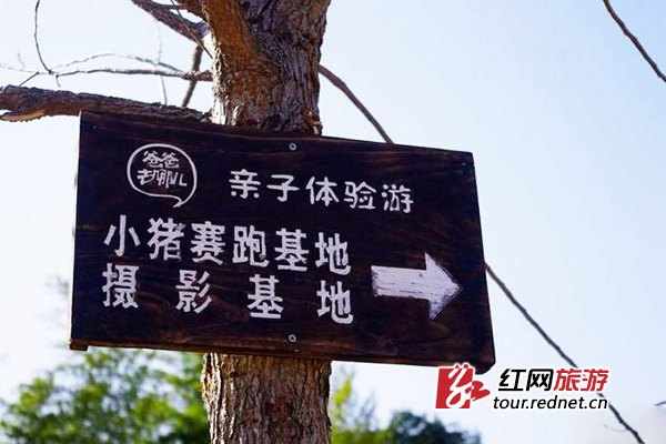 被《爸爸去哪儿》带火以后，白寺村已经成为亲子游热门目的地。rkcwxfo603摄 图片来源：红网论坛