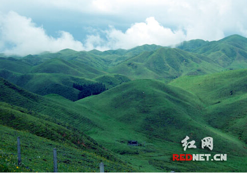 南山牧场。喻向阳 摄