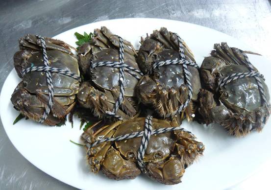 大闸蟹5