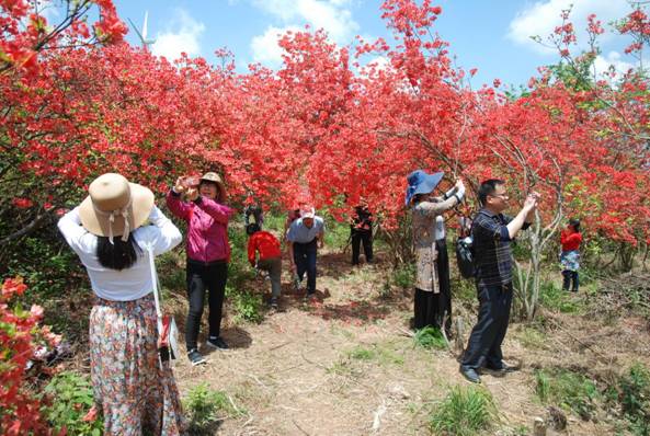 963759f16440bb73767b18355c3b6ed