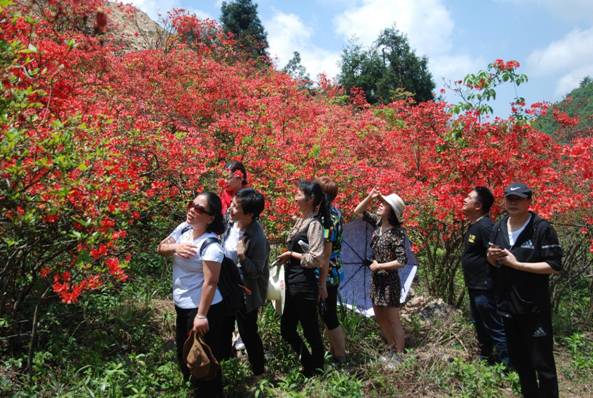 0b8add766cf007d2121a3a43b71a29a