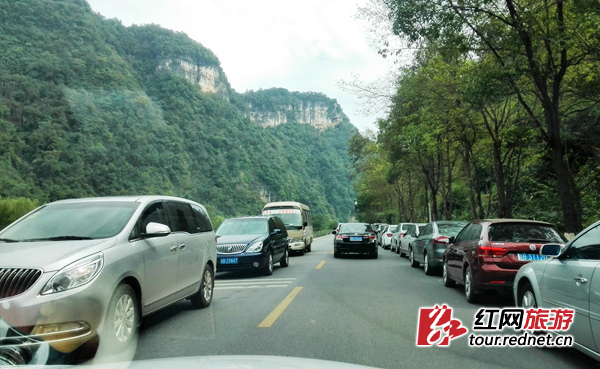 今年十一期间武陵源公路上停满自驾车。
