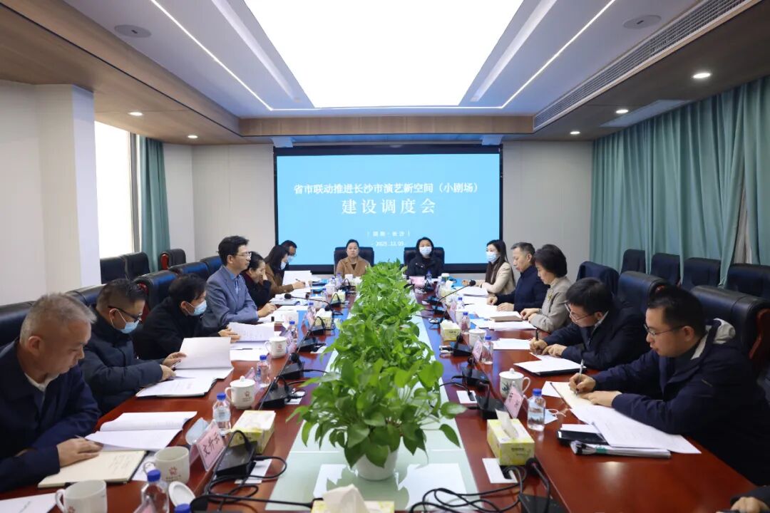 省市联动推进长沙市演艺新空间（小剧场）建设调度会召开