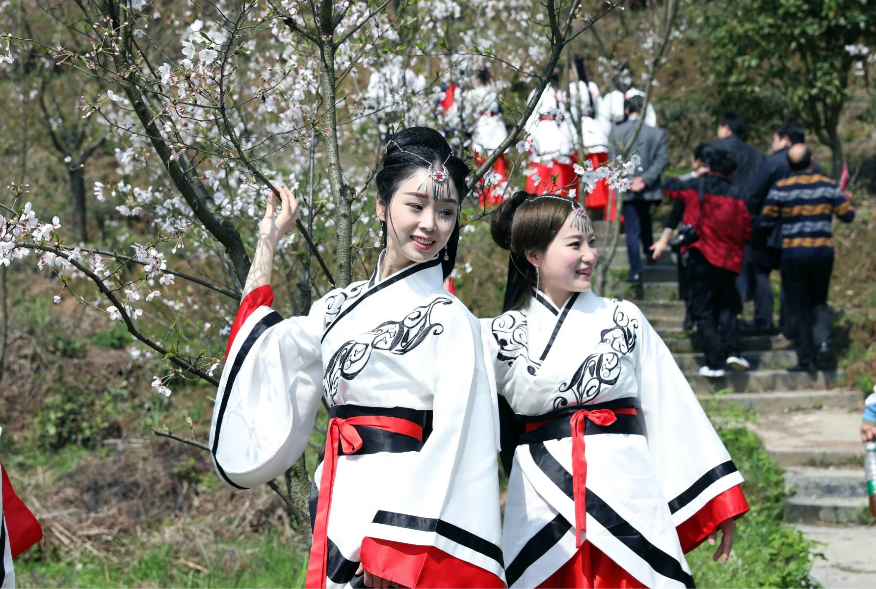 洪江古商城2017嵩云山樱花浪漫季启幕