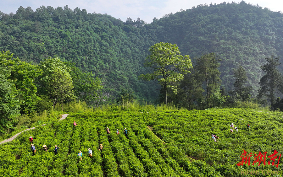 Hunan Farm Hunan Provincial Department of Cultural & Tourism
