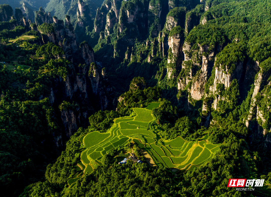 Hunan Provincial Department of Cultural & Tourism
